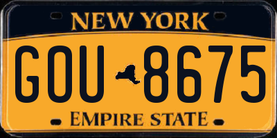 NY license plate GOU8675