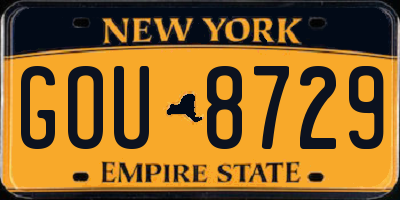 NY license plate GOU8729