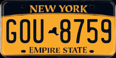 NY license plate GOU8759