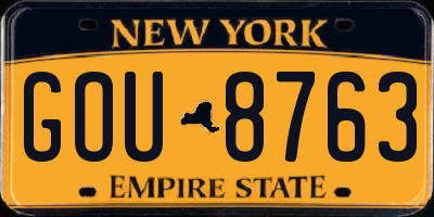 NY license plate GOU8763