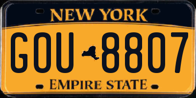 NY license plate GOU8807