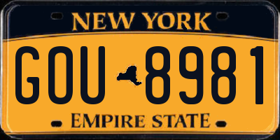 NY license plate GOU8981