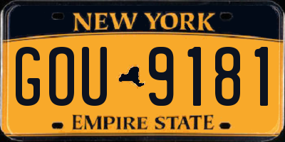 NY license plate GOU9181
