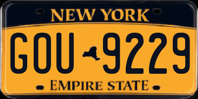 NY license plate GOU9229