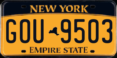 NY license plate GOU9503