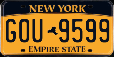 NY license plate GOU9599