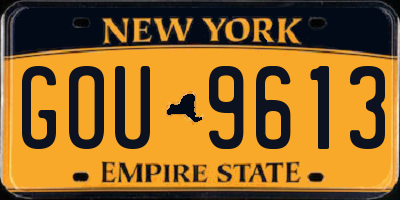 NY license plate GOU9613