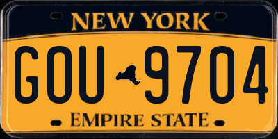 NY license plate GOU9704