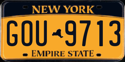 NY license plate GOU9713
