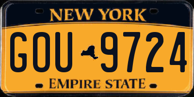 NY license plate GOU9724