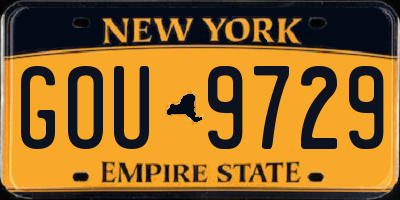 NY license plate GOU9729