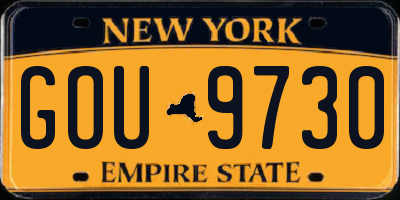 NY license plate GOU9730