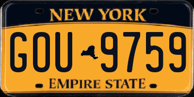 NY license plate GOU9759
