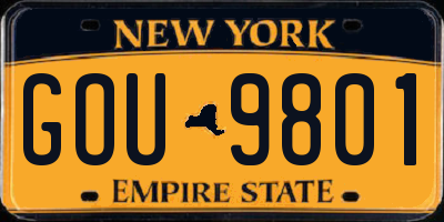 NY license plate GOU9801