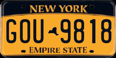 NY license plate GOU9818