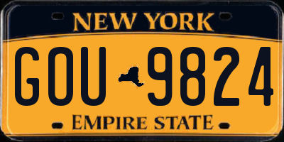 NY license plate GOU9824