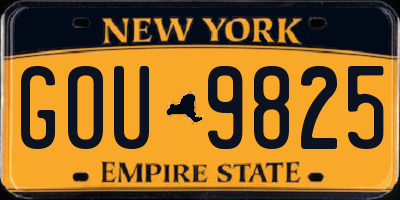 NY license plate GOU9825