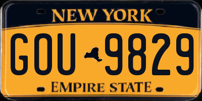 NY license plate GOU9829