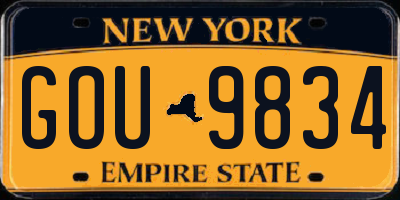 NY license plate GOU9834
