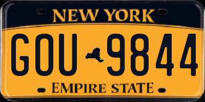 NY license plate GOU9844