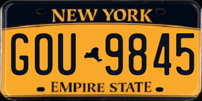 NY license plate GOU9845