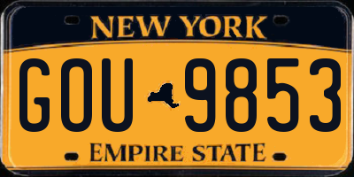 NY license plate GOU9853