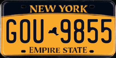 NY license plate GOU9855