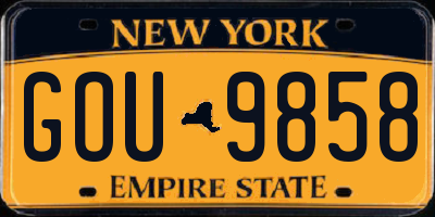 NY license plate GOU9858