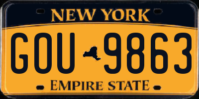 NY license plate GOU9863
