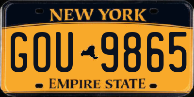 NY license plate GOU9865