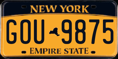 NY license plate GOU9875