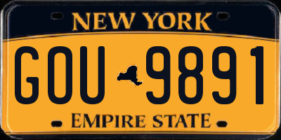 NY license plate GOU9891