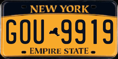 NY license plate GOU9919