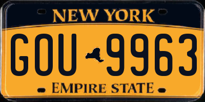 NY license plate GOU9963