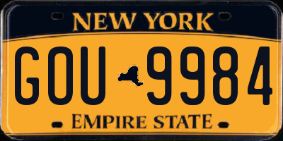 NY license plate GOU9984