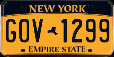 NY license plate GOV1299