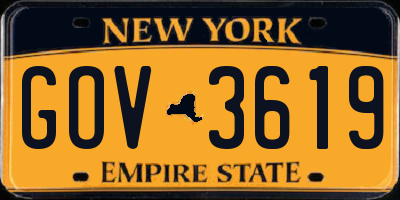 NY license plate GOV3619