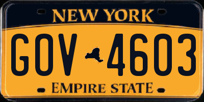 NY license plate GOV4603