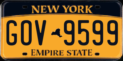 NY license plate GOV9599
