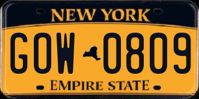 NY license plate GOW0809