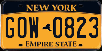 NY license plate GOW0823