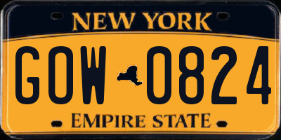 NY license plate GOW0824