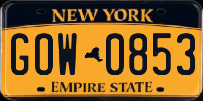 NY license plate GOW0853