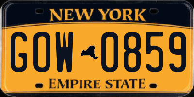 NY license plate GOW0859