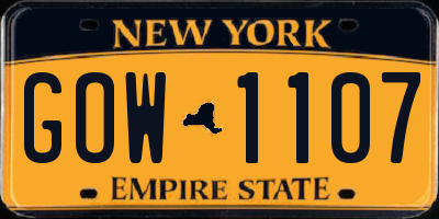 NY license plate GOW1107
