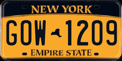 NY license plate GOW1209
