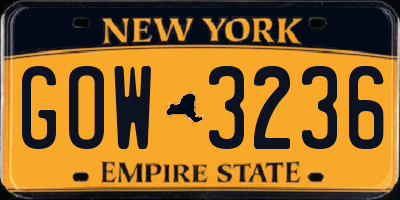 NY license plate GOW3236