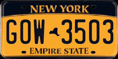 NY license plate GOW3503
