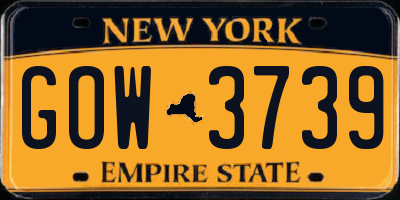 NY license plate GOW3739