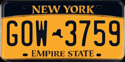 NY license plate GOW3759